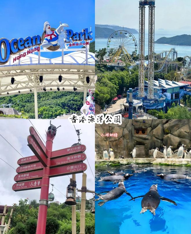 四日游景点推荐攻略：这些景点不容错过m6米乐app港澳四日游路线规划港澳(图1)